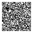 QR код "Disco Pause"