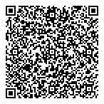 QR код "Диссолт"