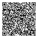 QR код "Чайка"