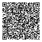 QR код "Глобус"