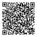 QR код "Lines"