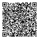 QR код "Voronin"
