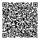 QR код "Викинг"