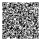QR код "Platinum Collection"
