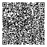 QR код "33 пингвина"