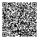 QR код "Индиго"