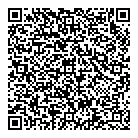 QR код "Звёздный"