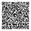 QR код "Рыжий кот"