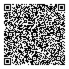 QR код "Созвездие"