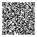 QR код "Молния"