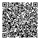 QR код "Глобус"