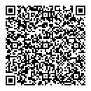 QR код "Спутник"
