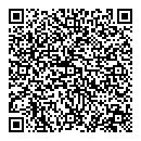 QR код "Лиго-9"