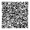 QR код "Блеск"