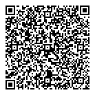 QR код "Фейерверк"