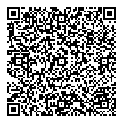 QR код "DNS"