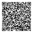 QR код "Феникс"