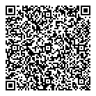 QR код "Бис"