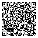 QR код "Созвездие"