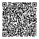 QR код "Picasso"