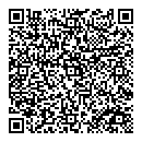 QR код "Электрошок"