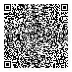 QR код "Профессионал"