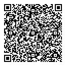 QR код "Стрекоза"