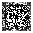 QR код "Алиса"