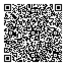 QR код "Ace"