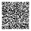 QR код "Лиза"