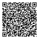 QR код "Twins"