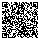 QR код "Рыжий кот"