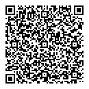 QR код "Спутник"