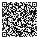 QR код "Спутник"