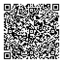 QR код "Спутник"