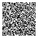 QR код "Квазар"