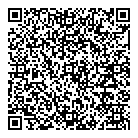 QR код "Профессионал"