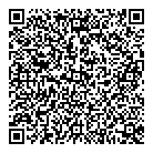 QR код "Audi & Volkswagen"