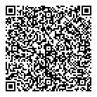 QR код "Мир Дисков"
