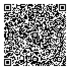 QR код "Нефертити"