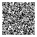 QR код "Хамелеон"