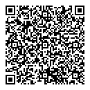 QR код "Professional"