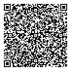 QR код "Владметр"