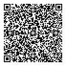 QR код "Спутник"