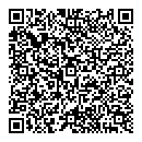 QR код "ДОМИНО"