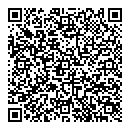 QR код "Ариэль"