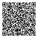 QR код "Тори-Аудит"