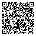 QR код "Луч"