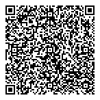 QR код "DealerFire"