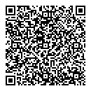 QR код "Лион"